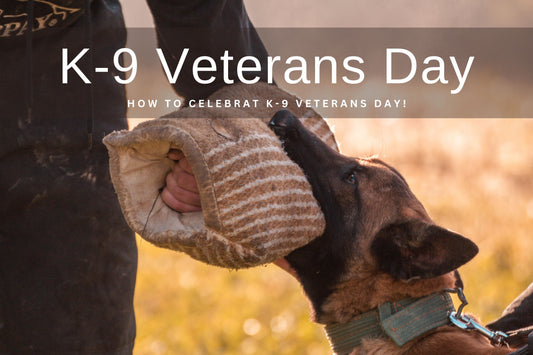 How to celebrate K-9 Veterans Day Blog Post | Krazy For Pets