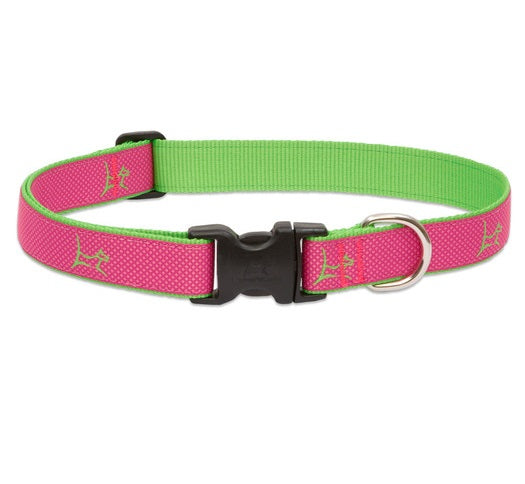 Lupine - Bermuda-Pink Club Collar | Krazy For Pets