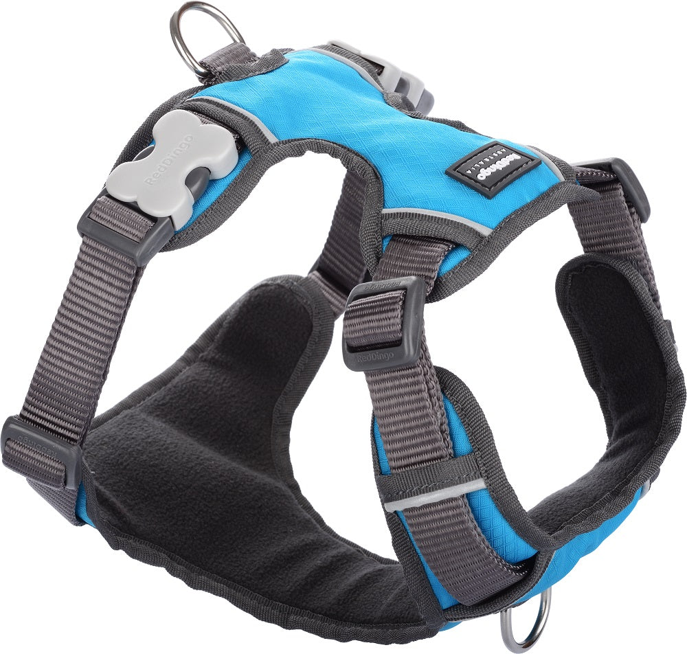 Turquoise Padded Harness - Red Dingo | Krazy For Pets