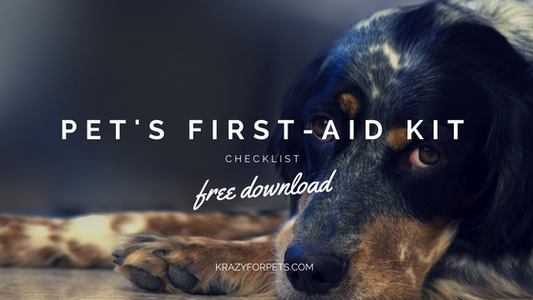 Free download pet's first-aid kit checklist.