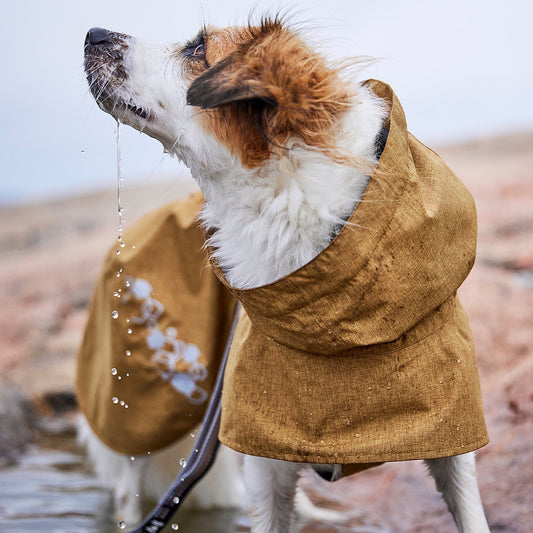 Hurtta Desert Monsoon Coat 2 at Krazy for Pets