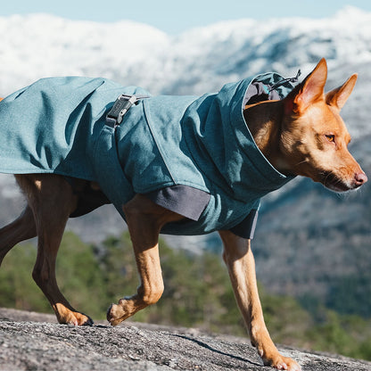 Hurtta Bilberry Expedition Parka on actual dog