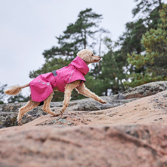 Hurtta Ruby Monsoon Coat2 at Krazy For Pets