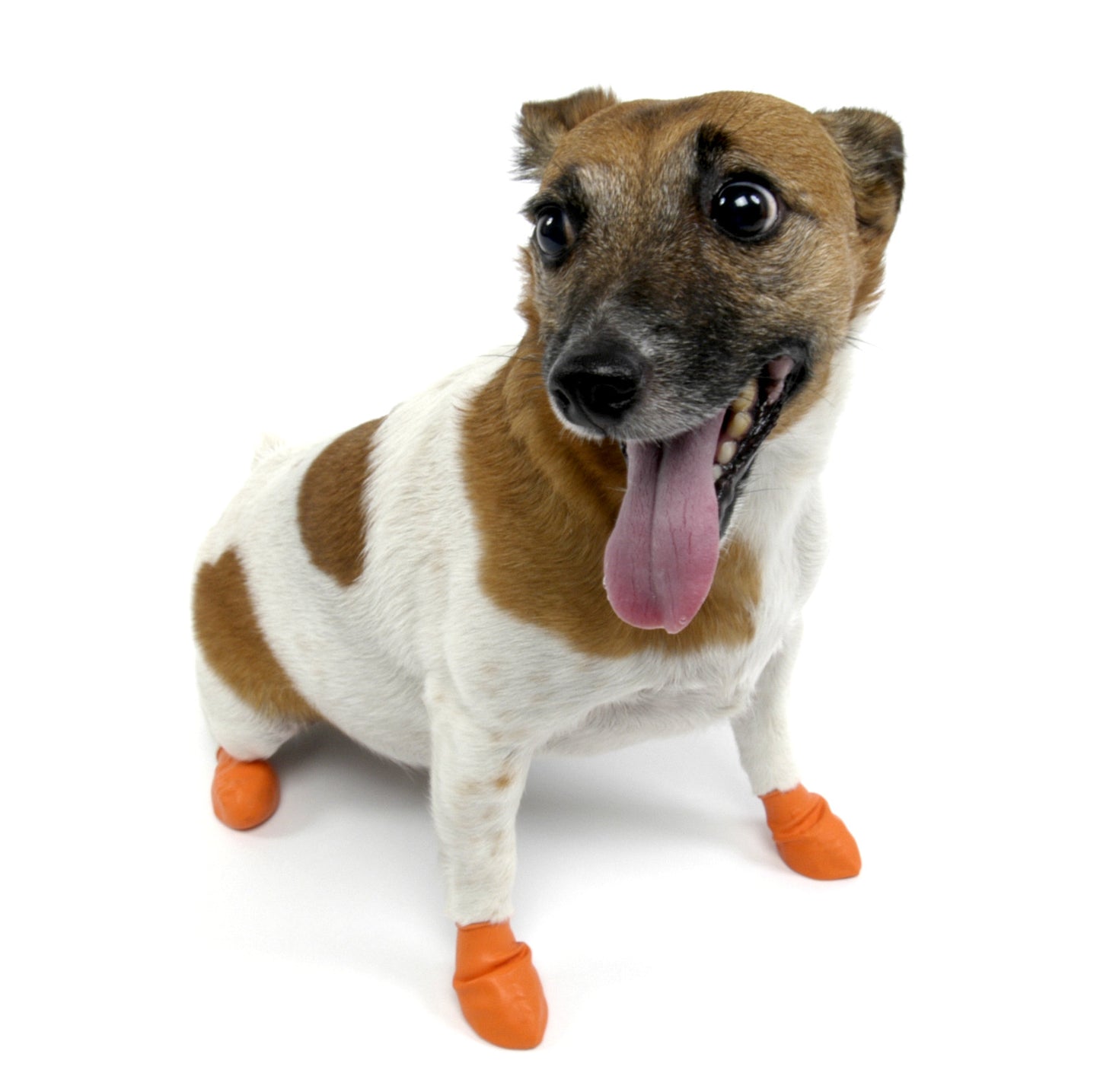 PawZ - PawZ Disposable Dog Boots, Extra-Small | Krazy For Pets