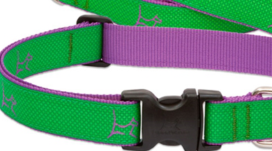 Lupine - Augusta-Green Club Collar | Krazy For Pets