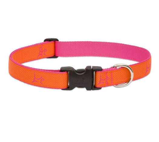 Lupine - Sunset-Orange Club Collar | Krazy For Pets