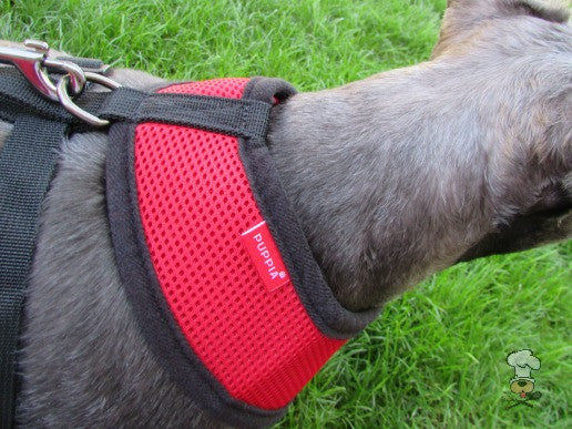 Puppia - Red Soft Harness | Krazy For Pets