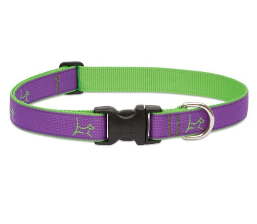 Lupine - Hampton-Purple Club Collar | Krazy For Pets