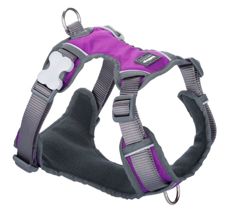 Purple Padded Harness - Red Dingo | Krazy For Pets