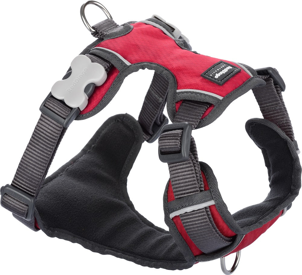 Red Padded Harness -Red Dingo | Krazy For Pets