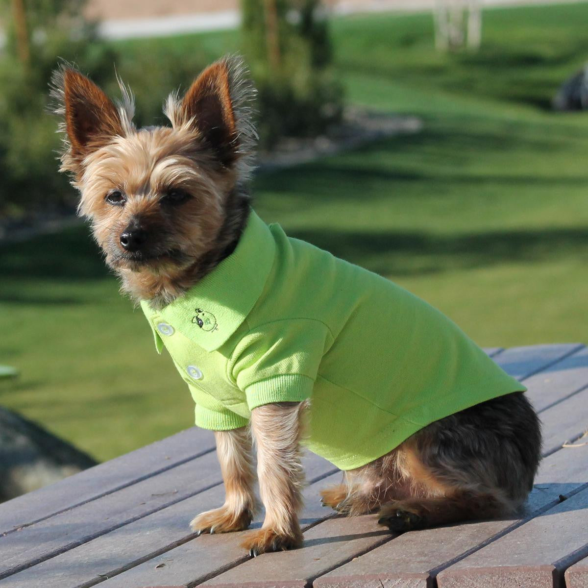 Doggie Design - Green Flash Polo Shirt | Krazy For Pets