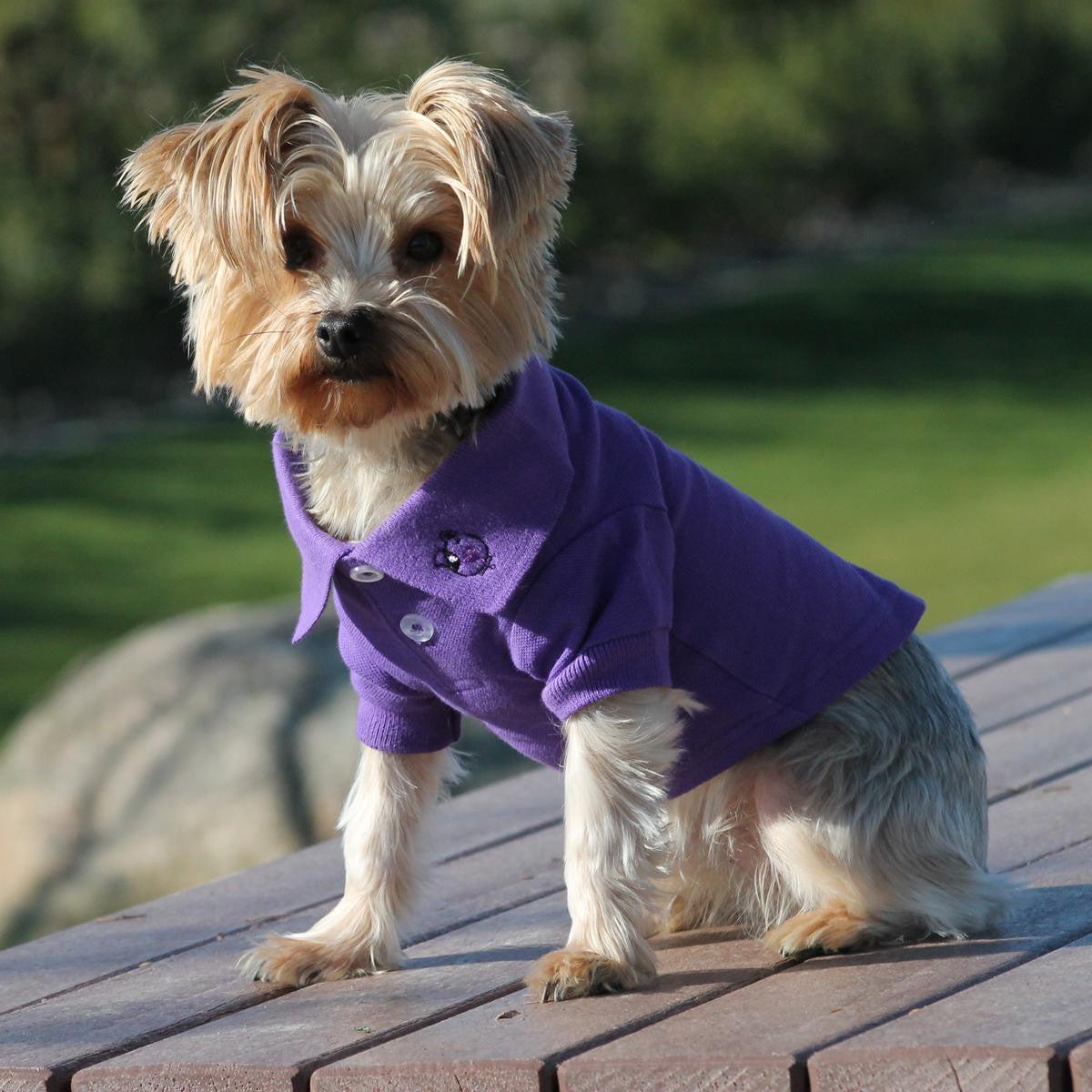 Doggy Design - Ultra Violet Polo Shirt | Krazy For Pets
