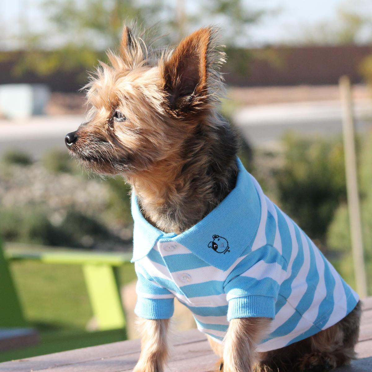 Doggie Design - Blue Niagara & White Striped Polo Shirt | Krazy For Pets
