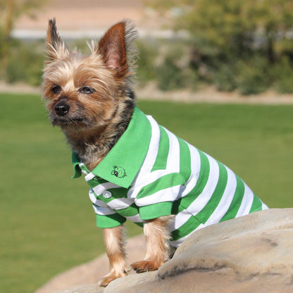 Doggie Design - Greenery & White Striped Polo Shirt | Krazy For Pets