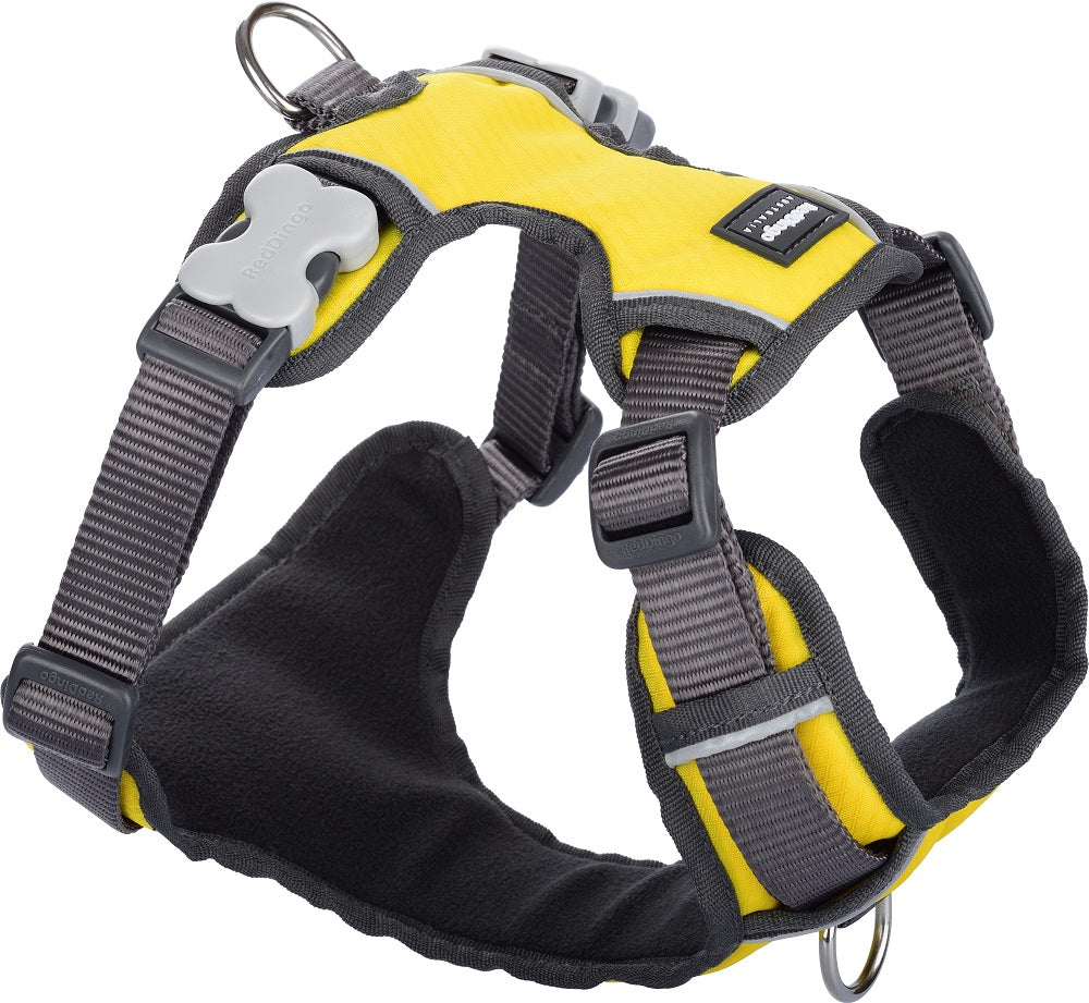 Yellow Padded Harness - Red Dingo | Krazy For Pets